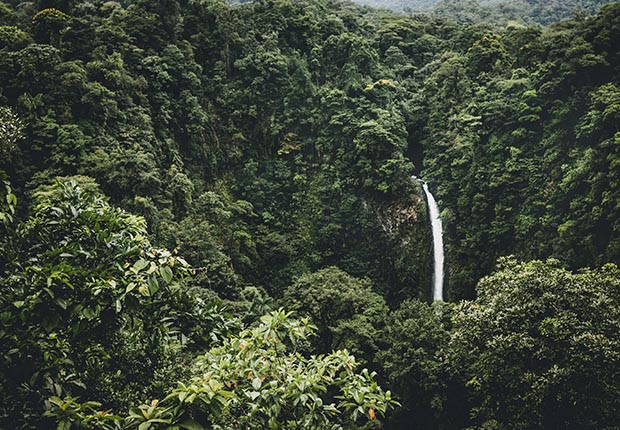 Costa Rica is the Perfect Destination for Science Trips Banner Image